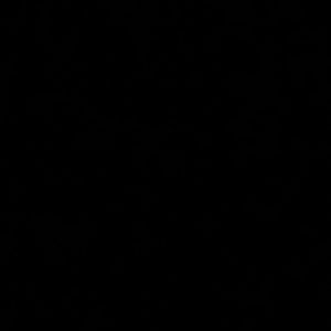 Meet your Posher, Sarahi